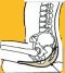 RelaxoBak for Tail Pain (Coccydinia)